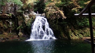 Image6